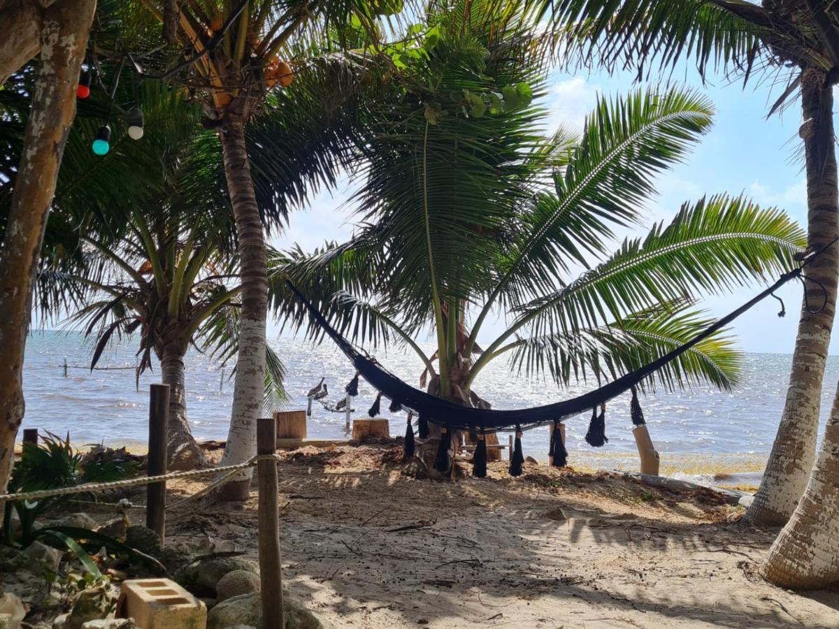 Hotel Maya Luna Adults Only Mahahual Exterior foto