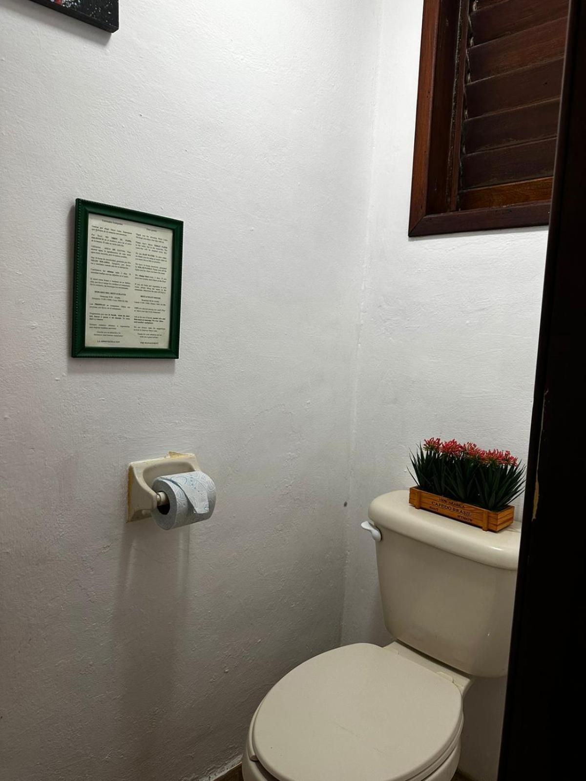 Hotel Maya Luna Adults Only Mahahual Exterior foto